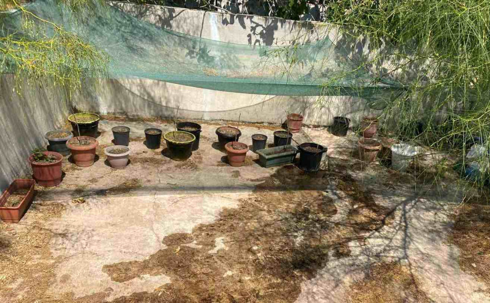 Δελτίο Τύπου Δελτίο Τύπου