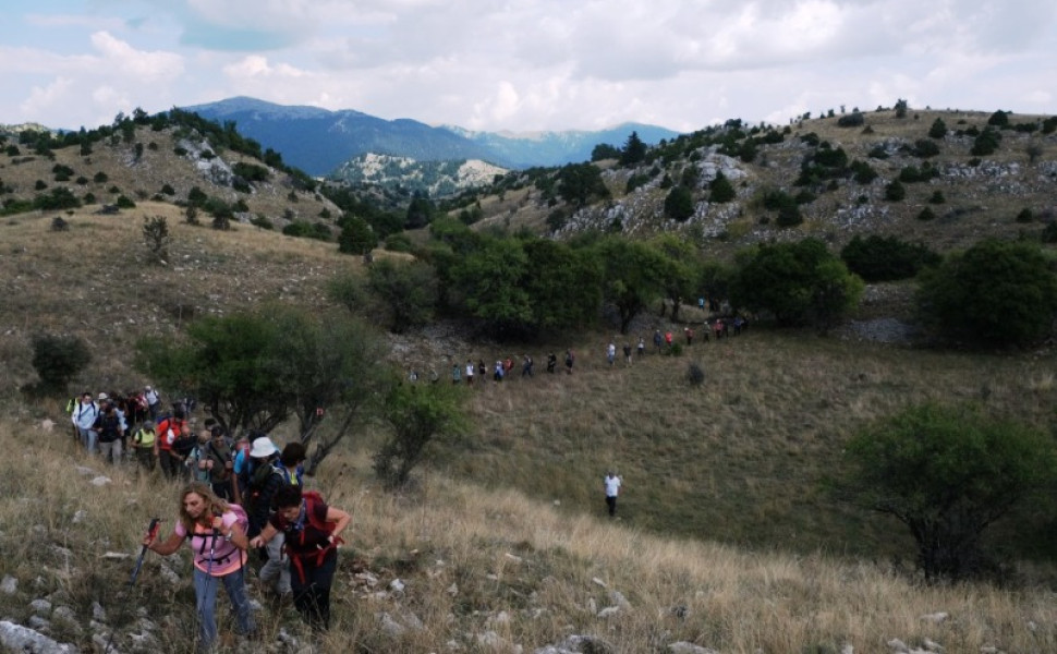 Δελτίο Τύπου Δελτίο Τύπου