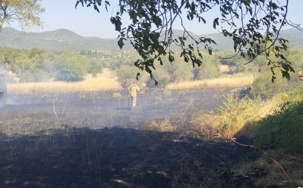 Δελτίο Τύπου Δελτίο Τύπου