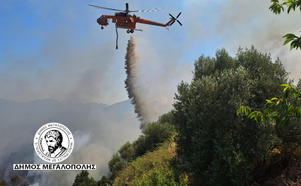 Δελτίο Τύπου Δελτίο Τύπου