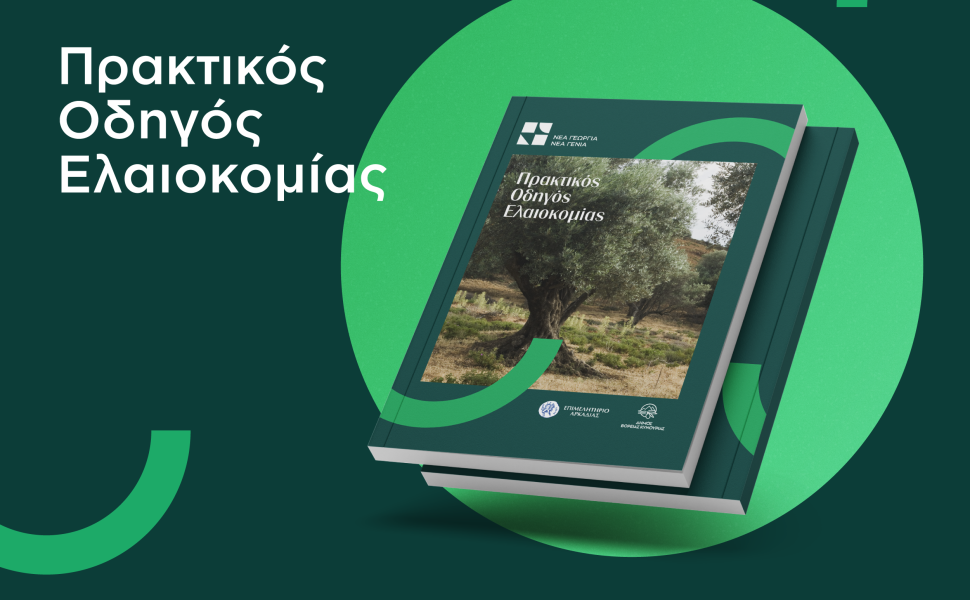 Δελτίο Τύπου Δελτίο Τύπου