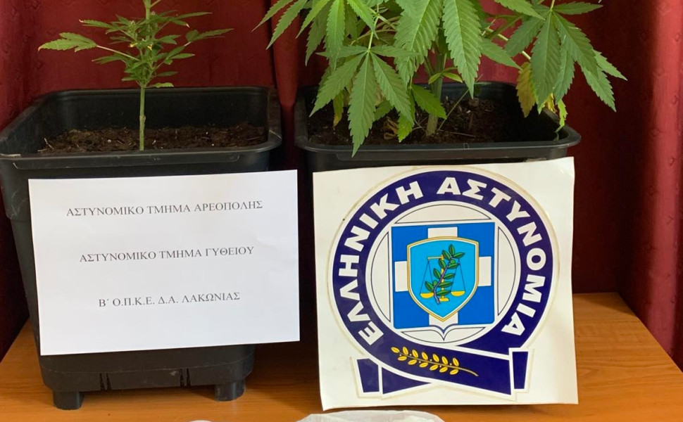 Δελτίο Τύπου Δελτίο Τύπου