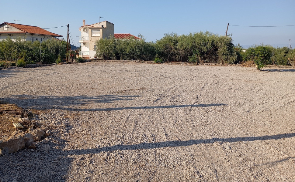 Δελτίο Τύπου