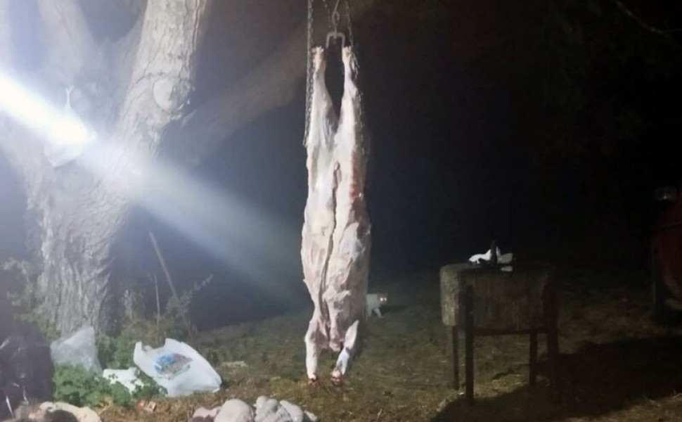 Δελτίο Τύπου Δελτίο Τύπου