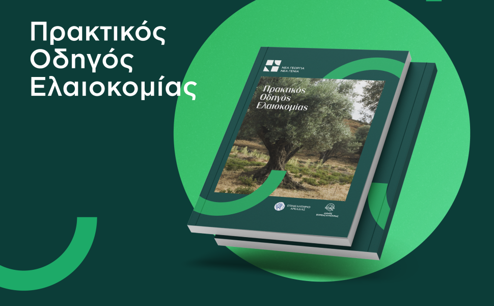 Δελτίο Τύπου Δελτίο Τύπου