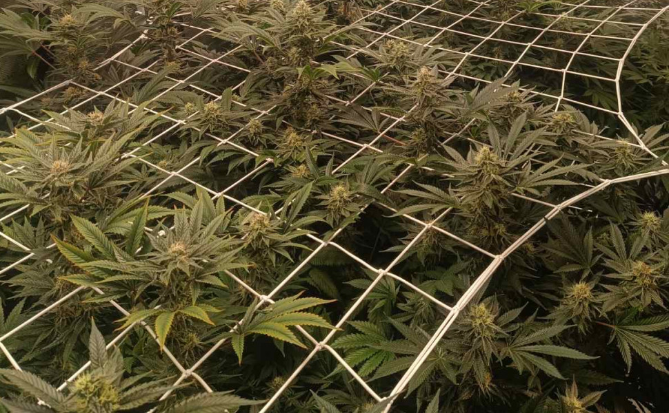 Δελτίο Τύπου