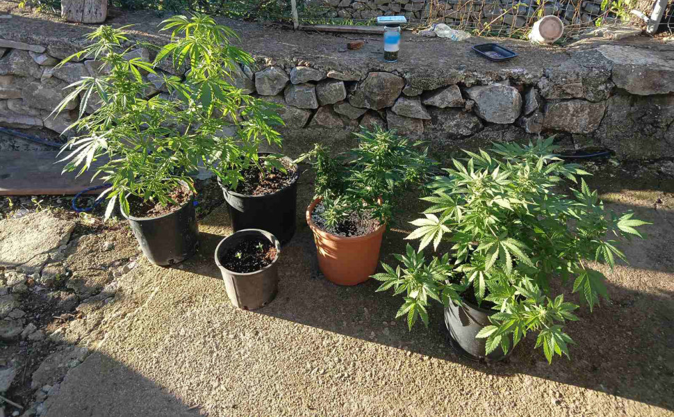 Δελτίο Τύπου Δελτίο Τύπου