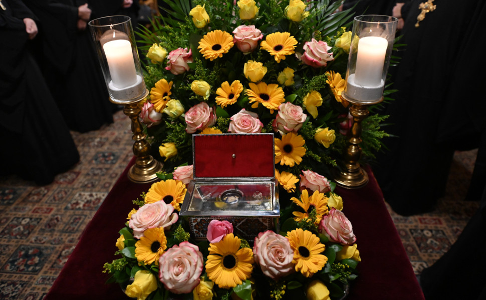 Δελτίο Τύπου