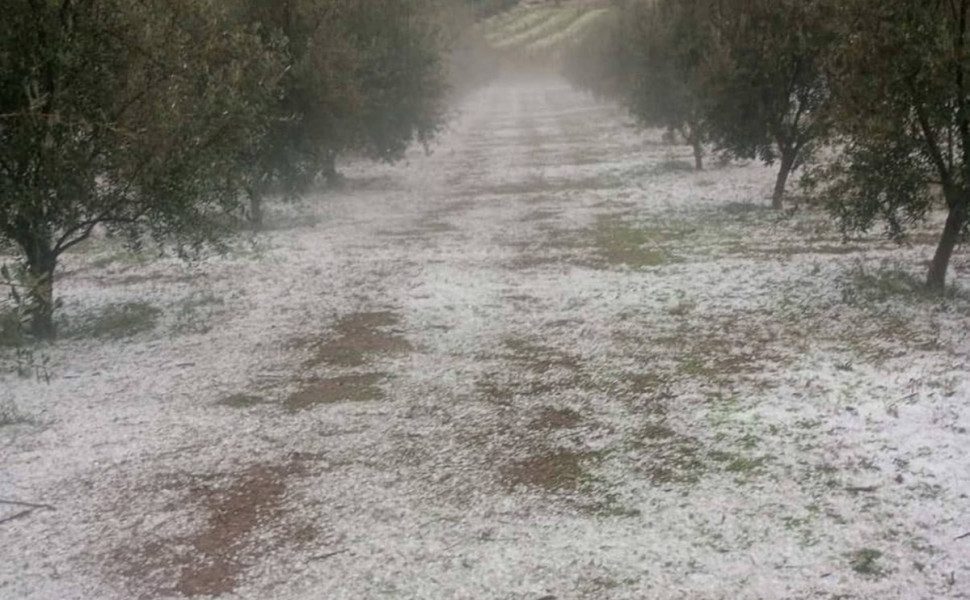 Δελτίο Τύπου