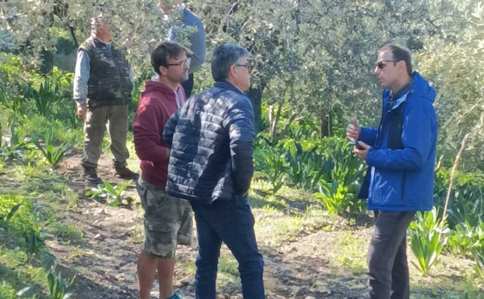 Δελτ΄ίο Τύπου